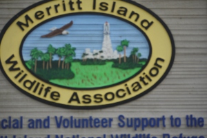 This sign welcomes you to the Merritt Island NWR Visitor centre.